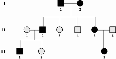 Árbol genealógico de la enfermedad de Von Hippel-Lindau (ejer. 70)