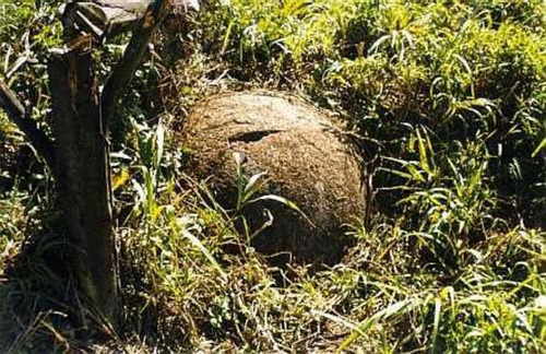 Esfera de piedra encontrada en la selva