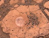 Esférulas en la superficie de Marte